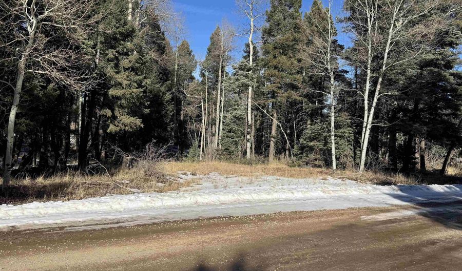 Vail Loop lot 363, Angel Fire, NM 87710 - 0 Beds, 0 Bath