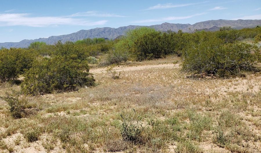 00 XX Trezler Rd, Aguila, AZ 85320 - 0 Beds, 0 Bath