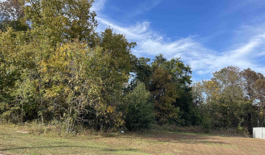 Nix RIdge Road, Ash Flat, AR 72513 - 0 Beds, 0 Bath
