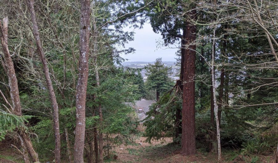 2950 Terrace Ave, Arcata, CA 95521 - 0 Beds, 0 Bath