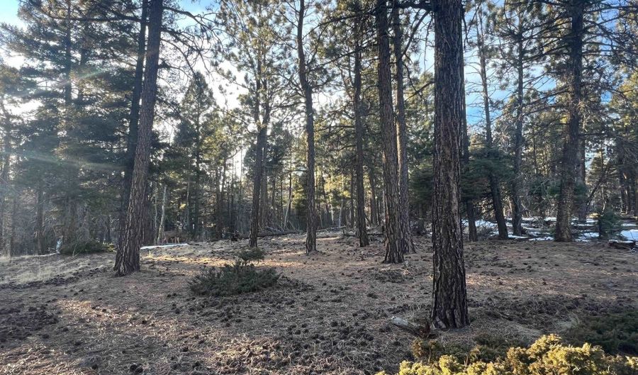 Vail Loop lot 352, Angel Fire, NM 87710 - 0 Beds, 0 Bath