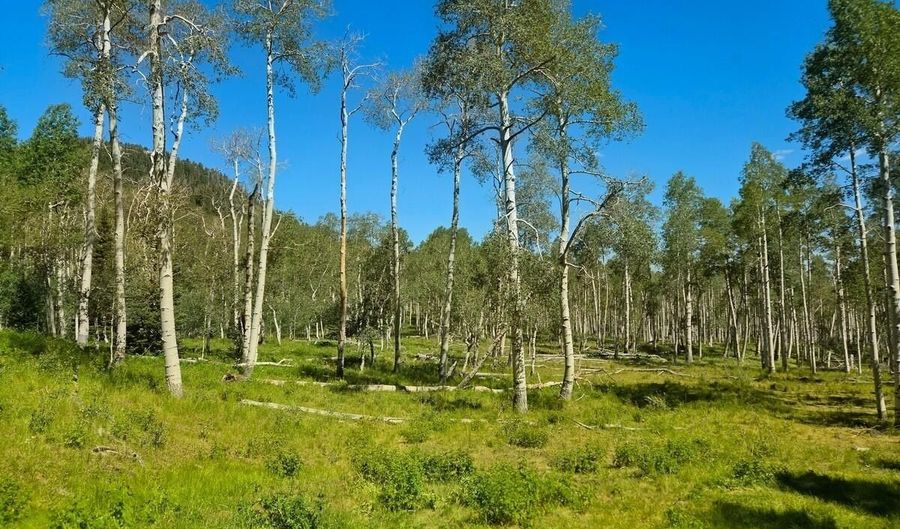 40 Acres Summit Mountain Rd, Brian Head, UT 84719 - 0 Beds, 0 Bath