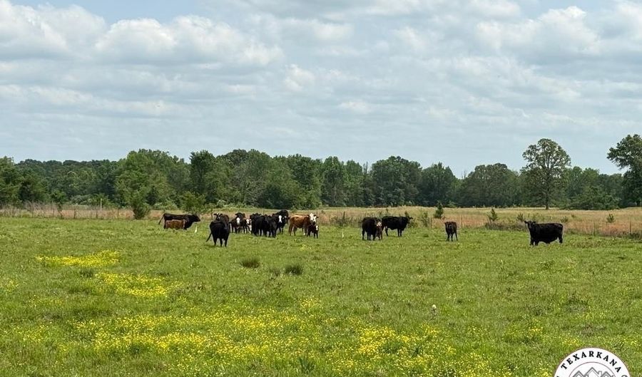 TBD US Hwy 82 W, De Kalb, TX 75559 - 0 Beds, 0 Bath