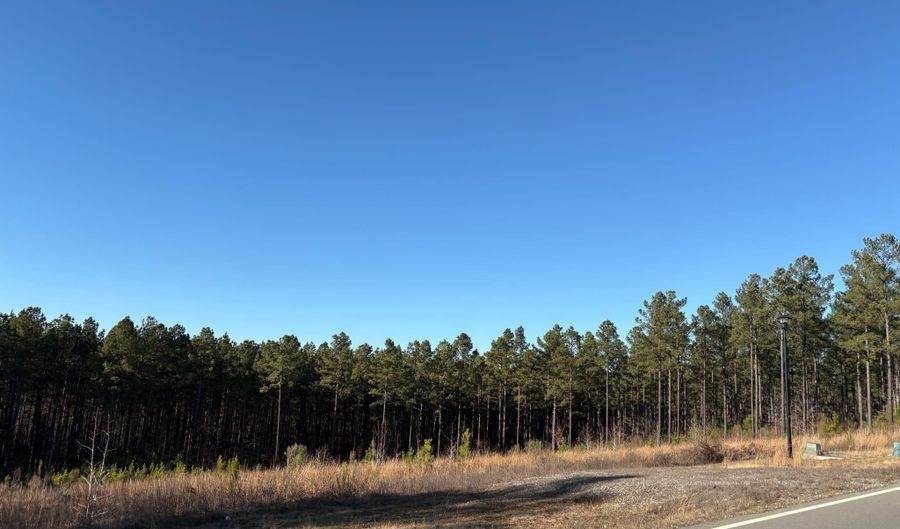 Parkway Trails lot 209, Bauxite, AR 72011 - 0 Beds, 0 Bath