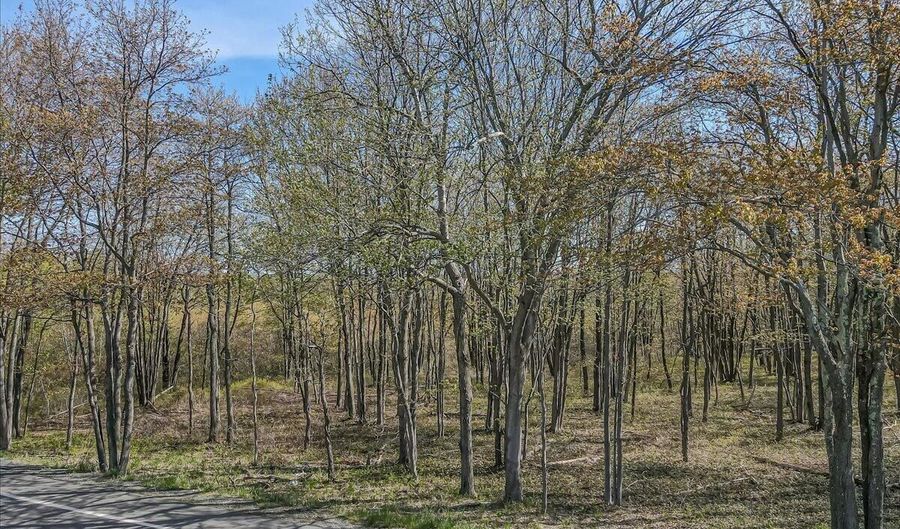 PA 115 2, Blakeslee, PA 18610 - 0 Beds, 0 Bath