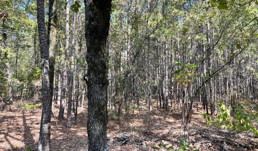 Highway 2 lot 6-9, Antlers, OK 74523 - 0 Beds, 0 Bath