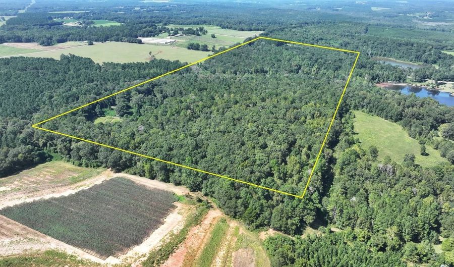 4496 State Hwy 130, Banks, AL 36005 - 3 Beds, 3 Bath