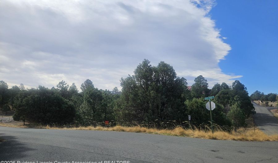 Eagle Ridge Road 2, Alto, NM 88312 - 0 Beds, 0 Bath