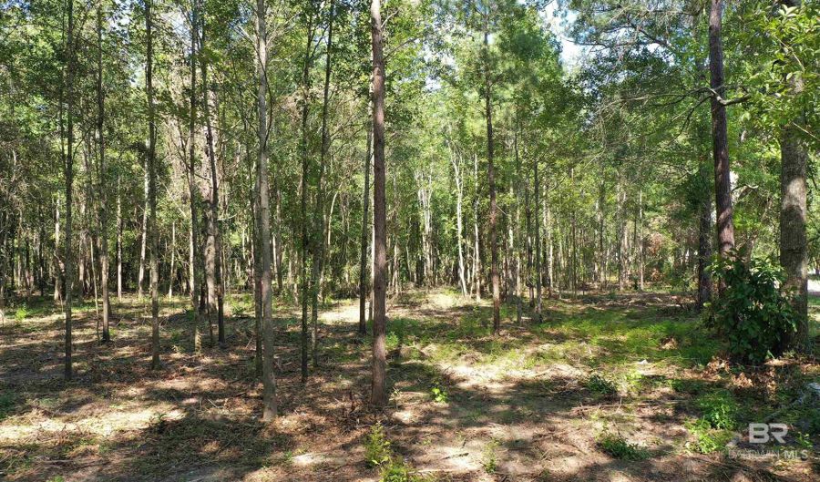 Lot 1A Harris Street, Atmore, AL 36502 - 0 Beds, 0 Bath