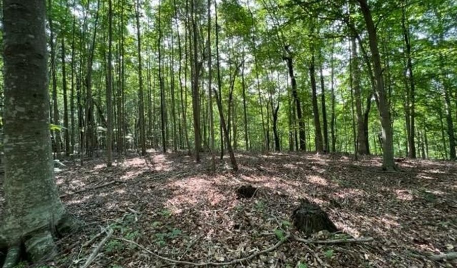 10 97 AC H R Huffer Ln, Allons, TN 38541 - 0 Beds, 0 Bath