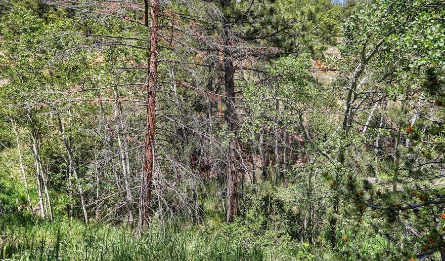 449 Highway 7 Business, Allenspark, CO 80510 - 2 Beds, 1 Bath
