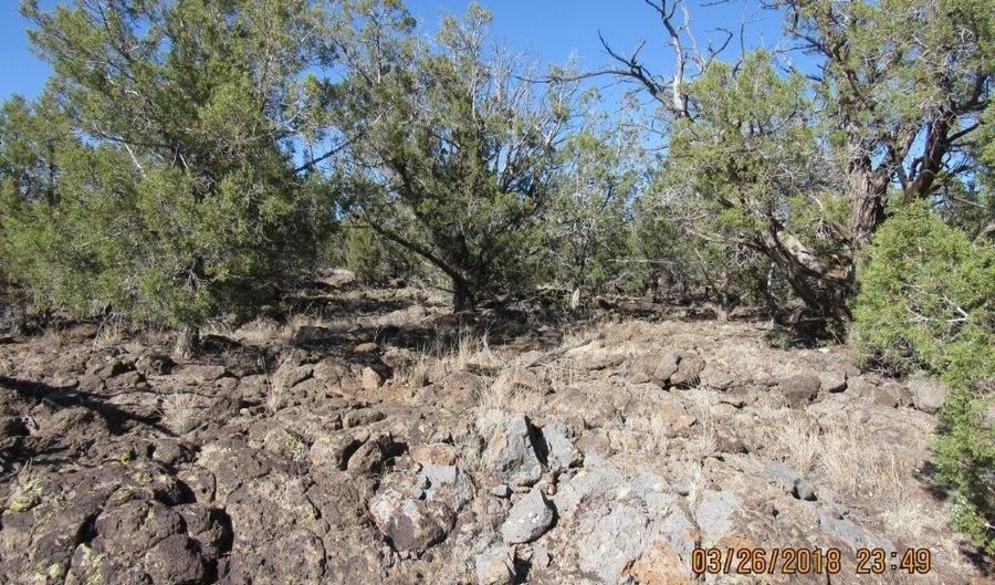 1075 W Murpheys Way, Ash Fork, AZ 86320 - 0 Beds, 0 Bath