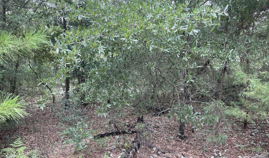 Girard Court lot 37, Alford, FL 32420 - 0 Beds, 0 Bath