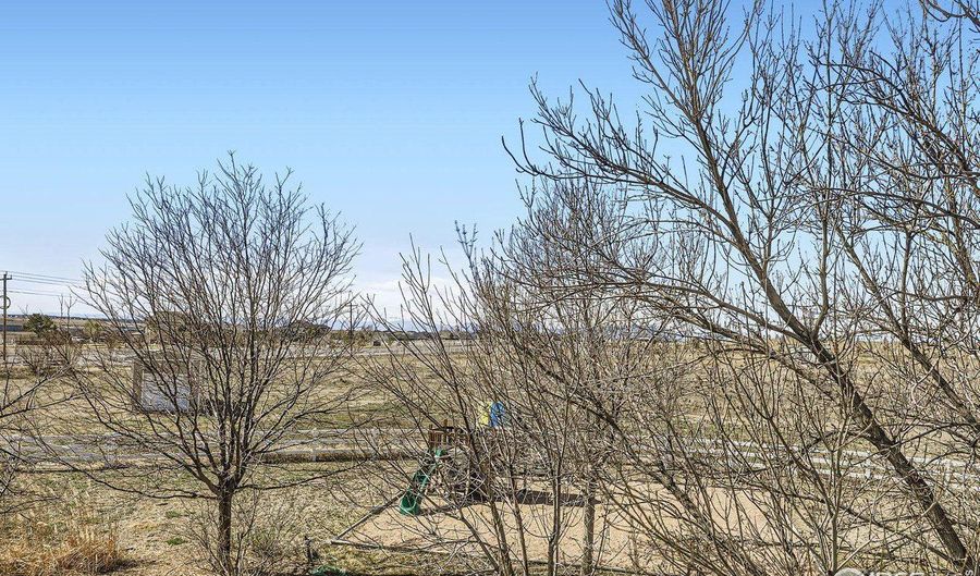 16021 Verbena St, Brighton, CO 80602 - 4 Beds, 4 Bath
