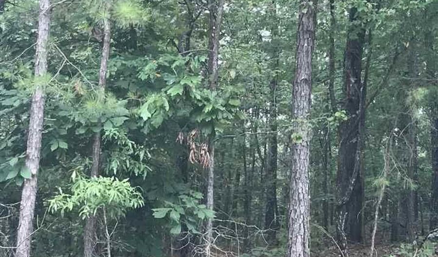 HIGHWAY 191 lot 33, Alpine, AL 35014 - 0 Beds, 0 Bath