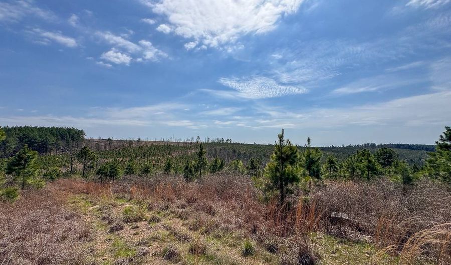 1 N4220, Antlers, OK 74523 - 0 Beds, 0 Bath