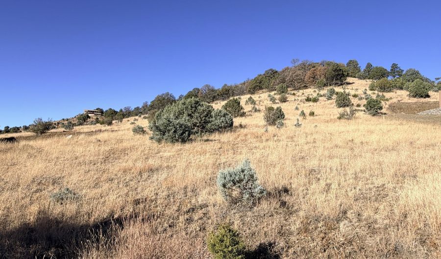 Antler Drive lot 87, Alto, NM 88312 - 0 Beds, 0 Bath