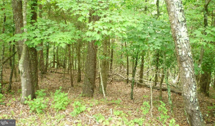 Lot 180 STUART DRIVE, Basye, VA 22810 - 0 Beds, 0 Bath