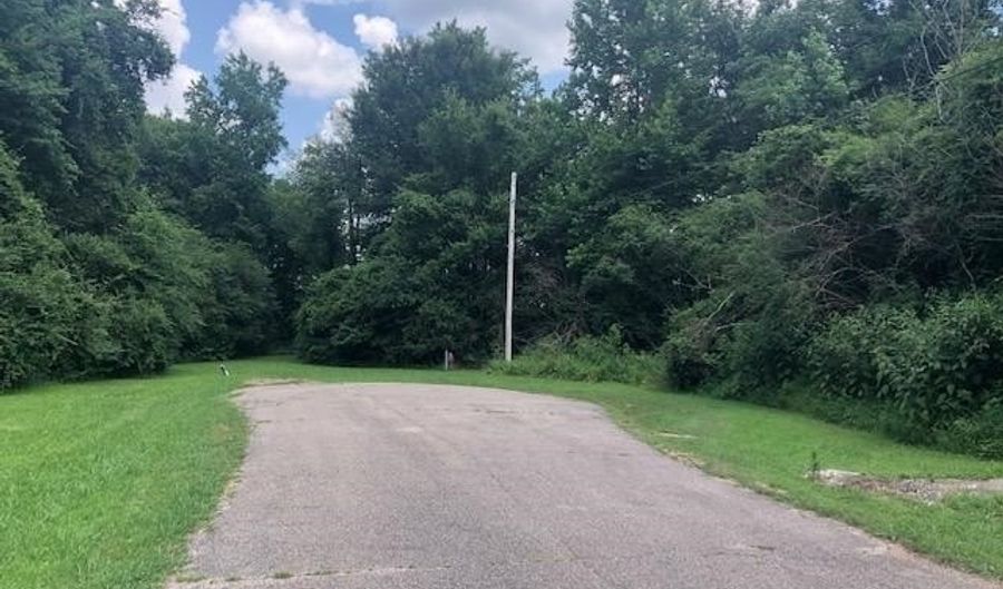 LYNNWOOD Cv, Adamsville, TN 38310 - 0 Beds, 0 Bath