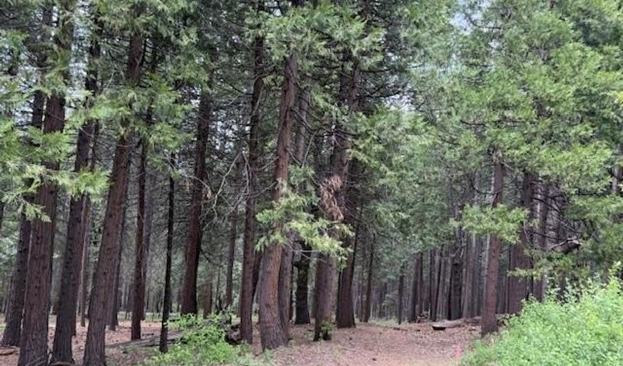 3129 Crystal Way, Arnold, CA 95223 - 0 Beds, 0 Bath