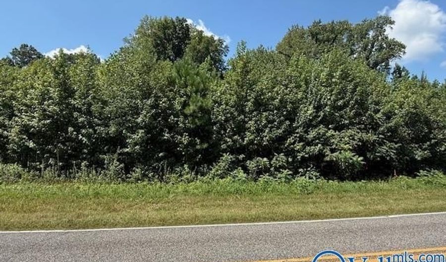 Tract 2 Of 2 Flanagan Road, Athens, AL 35614 - 0 Beds, 0 Bath