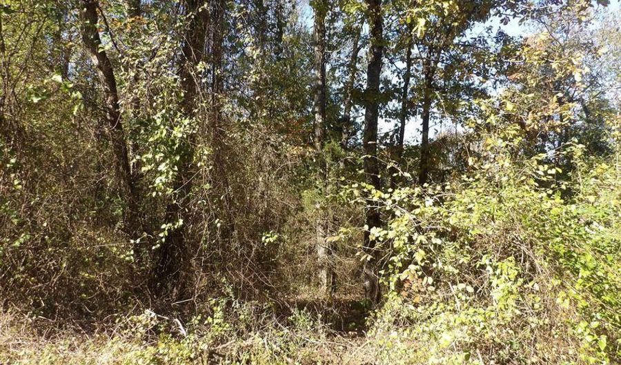 Tract 1 Land Off Meimerstorf Lane, Russellville, AR 72801 - 0 Beds, 0 Bath