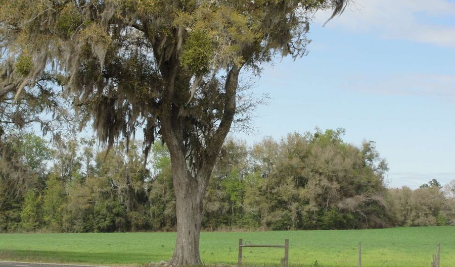 TBD HWY 441, Alachua, FL 32615 - 0 Beds, 0 Bath