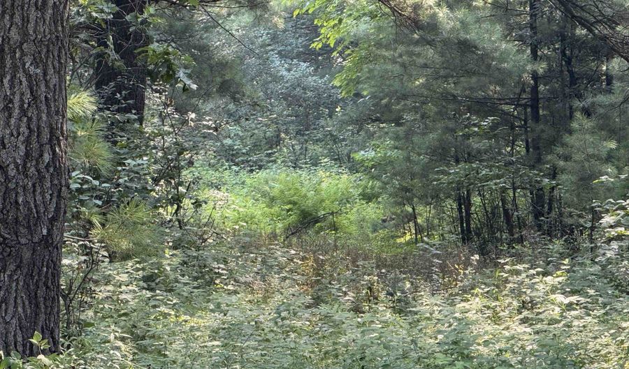 3158 County Road B, Grand Marsh, WI 53936 - 0 Beds, 0 Bath
