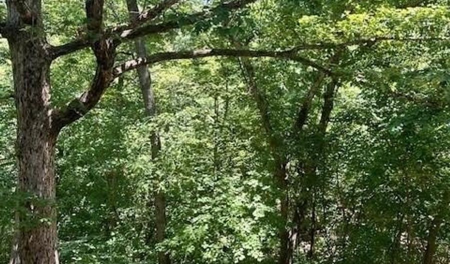 31 Estes Dr, Bella Vista, AR 72715 - 2 Beds, 2 Bath