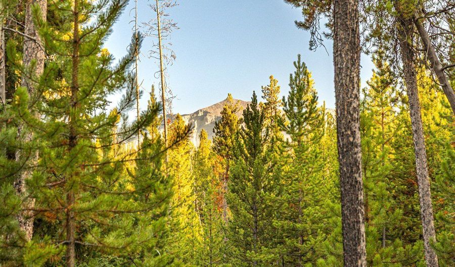 Harris Road lot 10 Tbd, Anaconda, MT 59711 - 0 Beds, 0 Bath