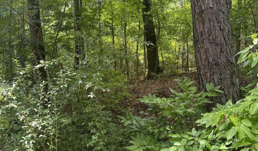 Old Dark Rd, Alexander City, AL 35010 - 0 Beds, 0 Bath