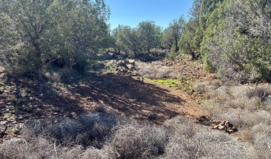 220 N Eternity Way, Ash Fork, AZ 86320 - 0 Beds, 0 Bath