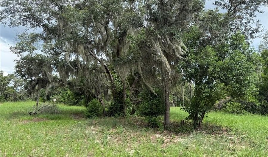 142 E Raymond St, Avon Park, FL 33825 - 0 Beds, 0 Bath