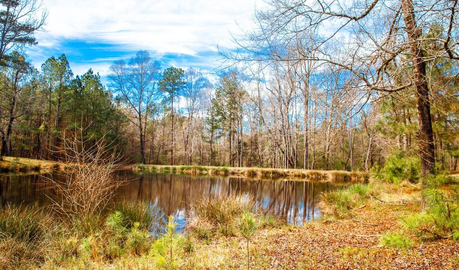 MISTLETOE RD lot 7, Appling, GA 30802 - 0 Beds, 0 Bath