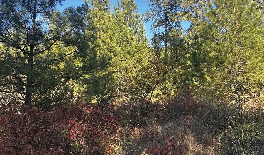 Old CC Rd, Addy, WA 99101 - 0 Beds, 0 Bath