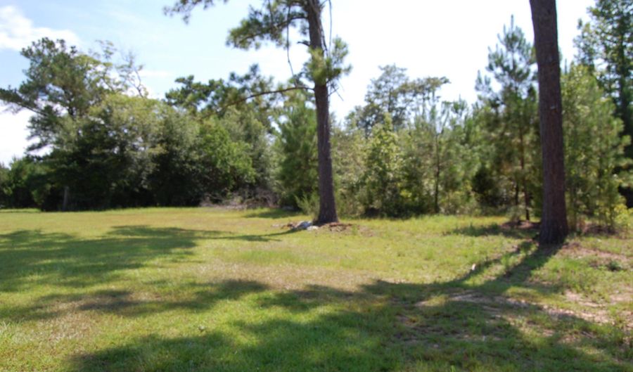 1706 Tennessee St, Alford, FL 32420 - 3 Beds, 2 Bath