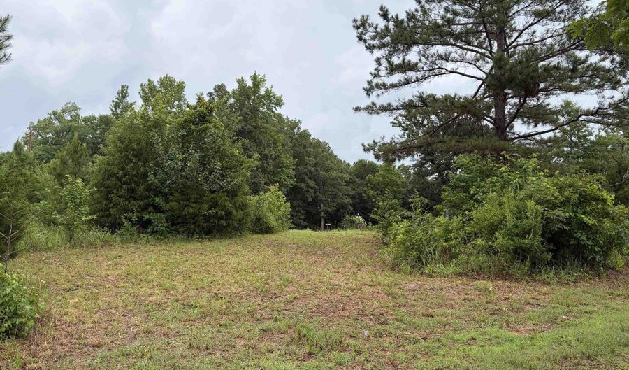 745 FOSTER Rd, Adamsville, TN 38310 - 0 Beds, 0 Bath