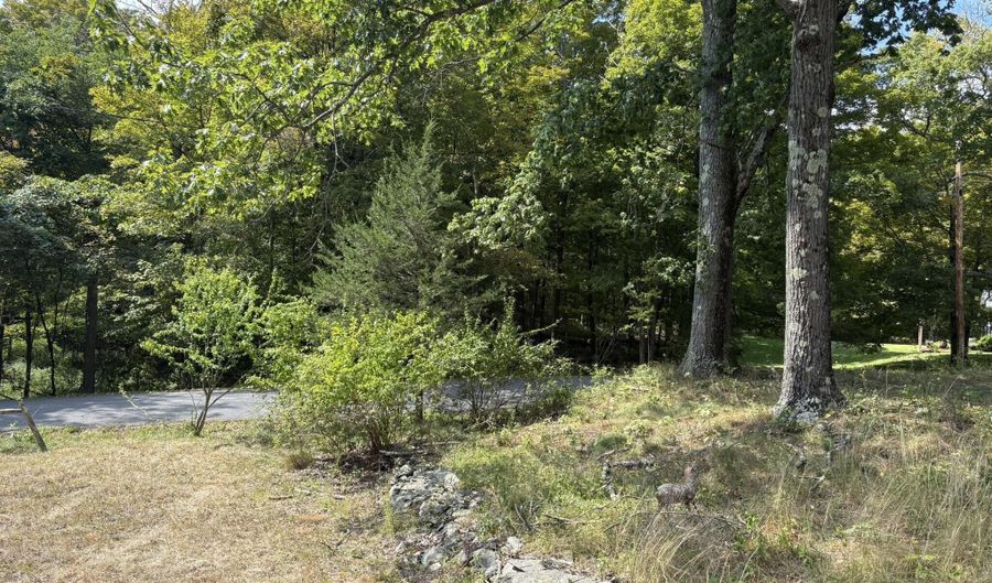 42 E Pond Lilly Rd, Ancram, NY 12502 - 2 Beds, 2 Bath