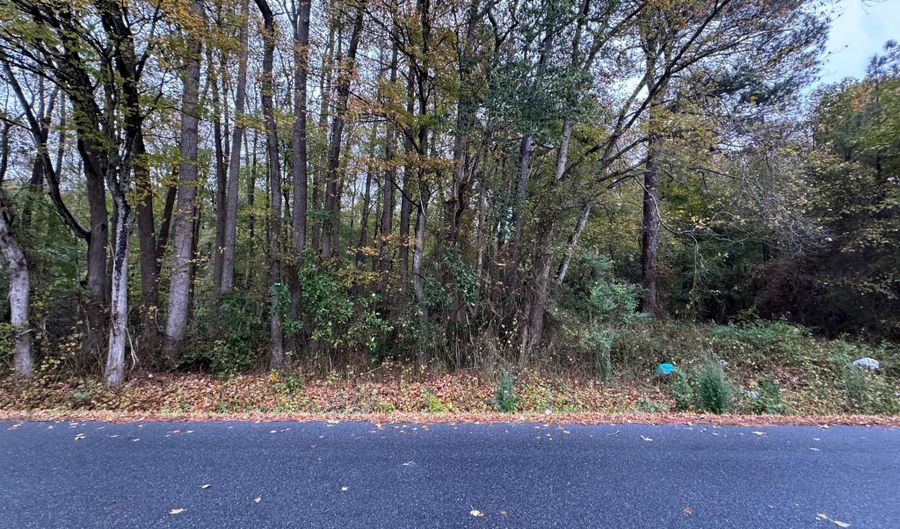 SHOCKLEY TOWN ROAD lot 26, Frankford, DE 19945 - 0 Beds, 0 Bath