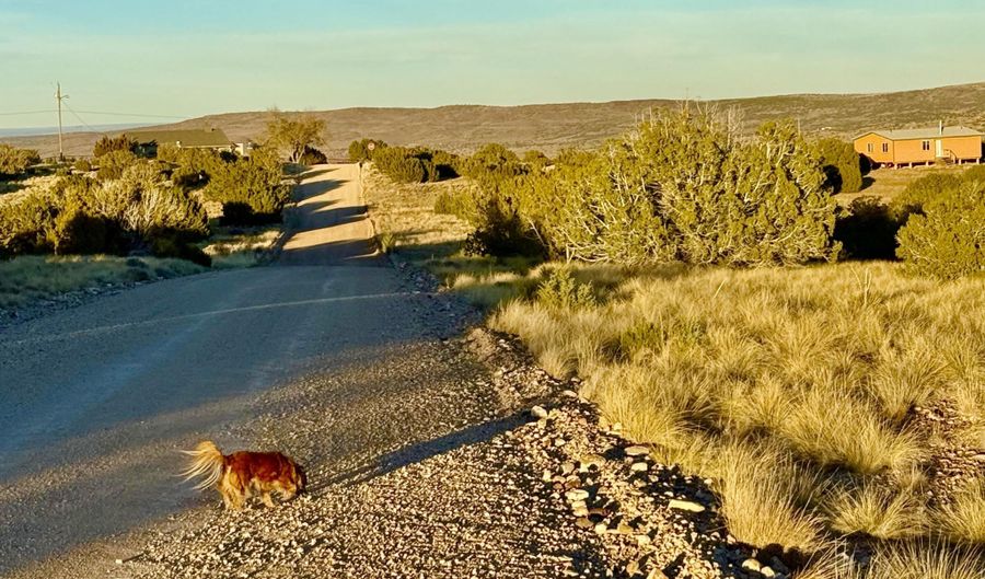 136 Zuni Dr, Concho, AZ 85924 - 0 Beds, 0 Bath