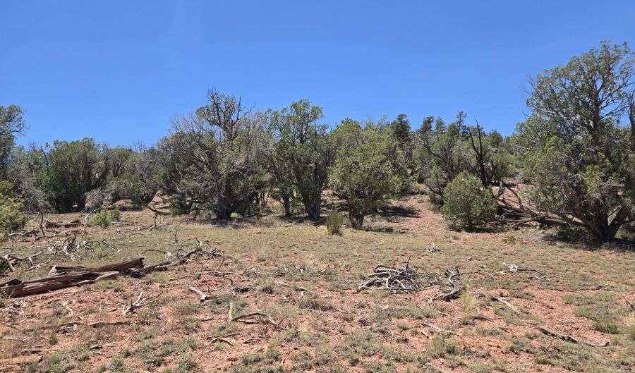 236 W Kings Ranch Rd, Ash Fork, AZ 86320 - 0 Beds, 0 Bath