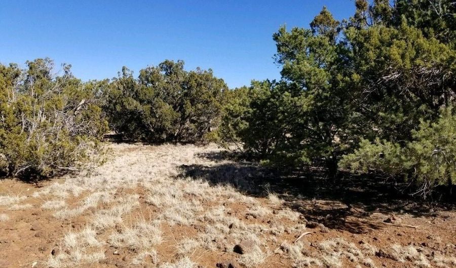 29 County Road 8069, Concho, AZ 85924 - 0 Beds, 0 Bath