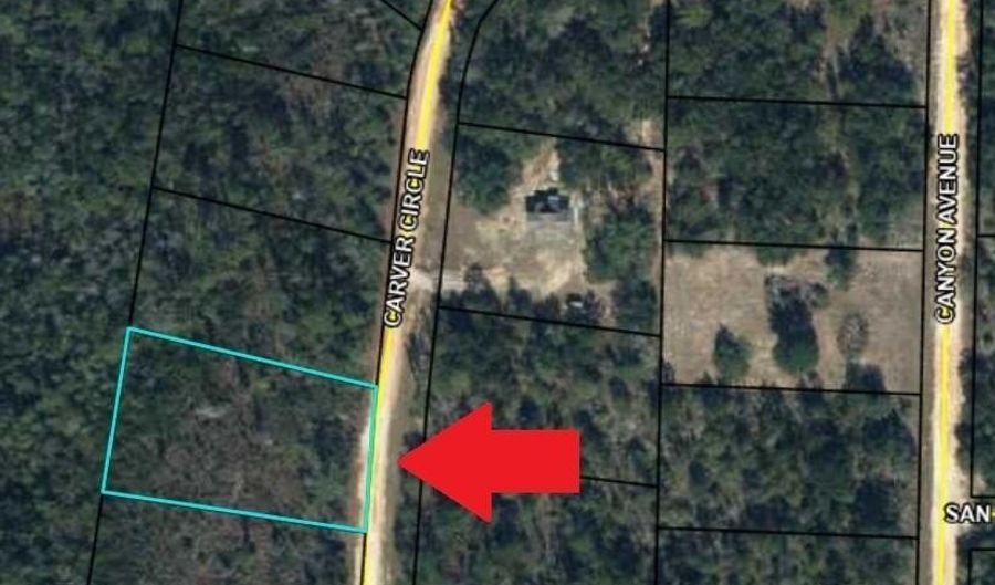 Lot 19 Carver Circle, Alford, FL 32420 - 0 Beds, 0 Bath