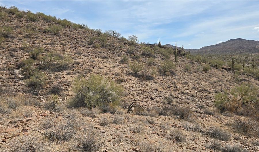 10 Acres 121-02-020, Yucca, AZ 86438 - 0 Beds, 0 Bath