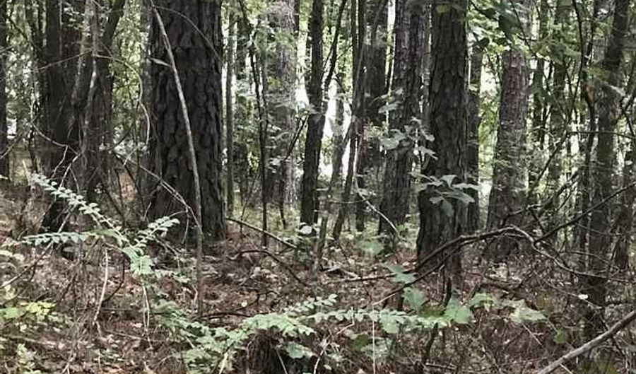 LAKESIDE LANE 21, Alpine, AL 35014 - 0 Beds, 0 Bath