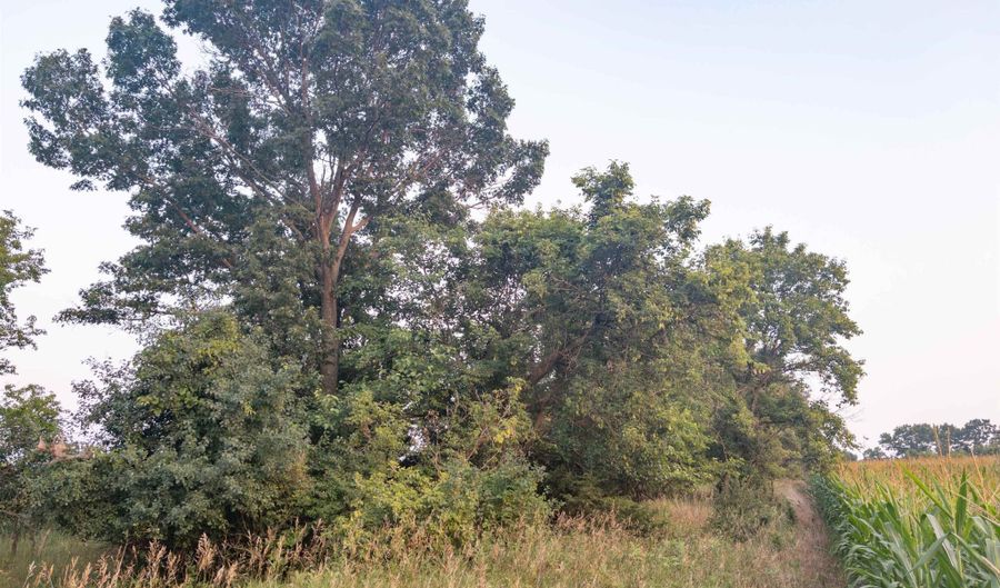 Lot 1 Csm 3944 Highway 22, Montello, WI 53949 - 0 Beds, 0 Bath