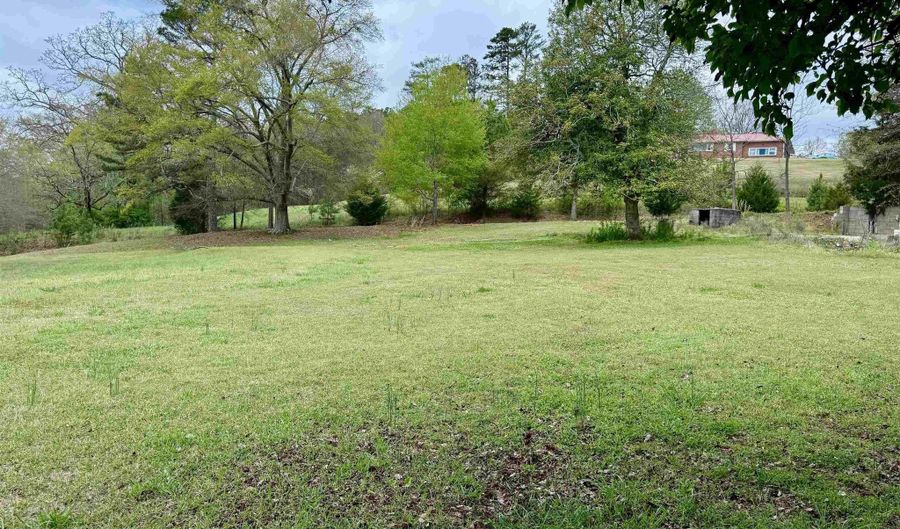 MITCHELL LANE lot 0, Ashland, AL 36251 - 0 Beds, 0 Bath
