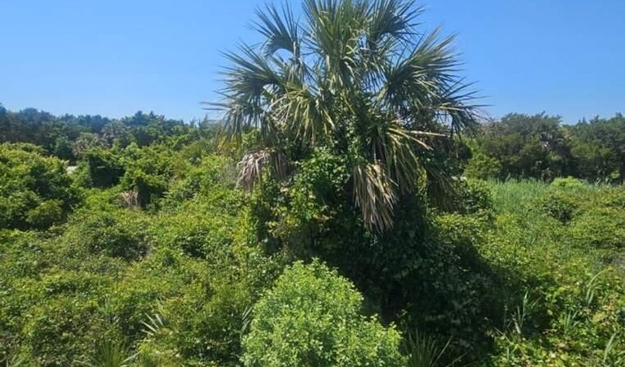 11 Horsemint Trl, Bald Head Island, NC 28461 - 0 Beds, 0 Bath