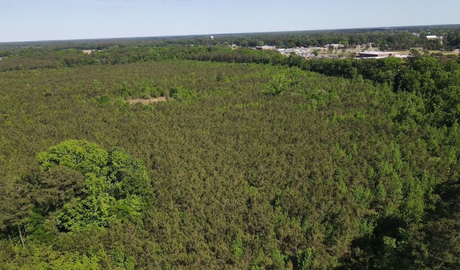 Colice Hall Lane, Ahoskie, NC 27910 - 0 Beds, 0 Bath