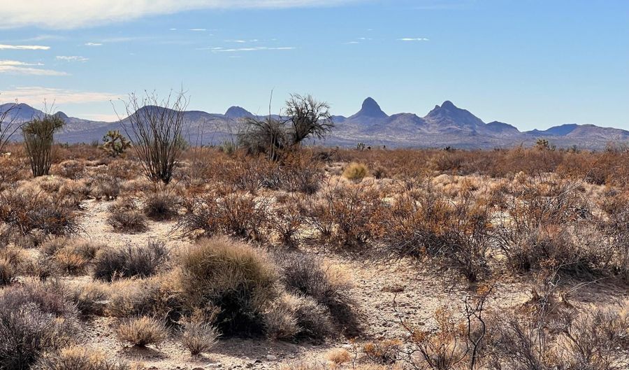 Lot 166 Lake Havasu Acres, Yucca, AZ 86438 - 0 Beds, 0 Bath
